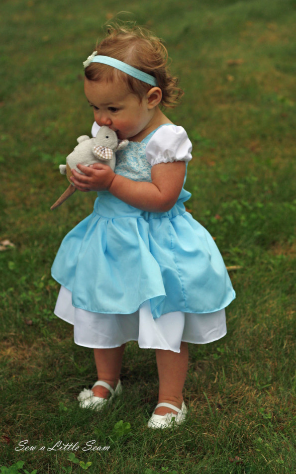 Cinderella Dress